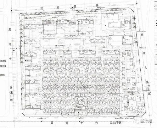 定了 就在渤海十一路 滨州将新崛起一座大型小区